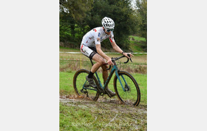 CX AVAILLES LIMOUZINE - OPEN -